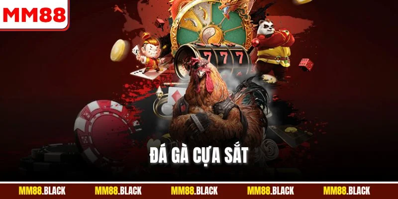 Đá Gà Cựa Sắt