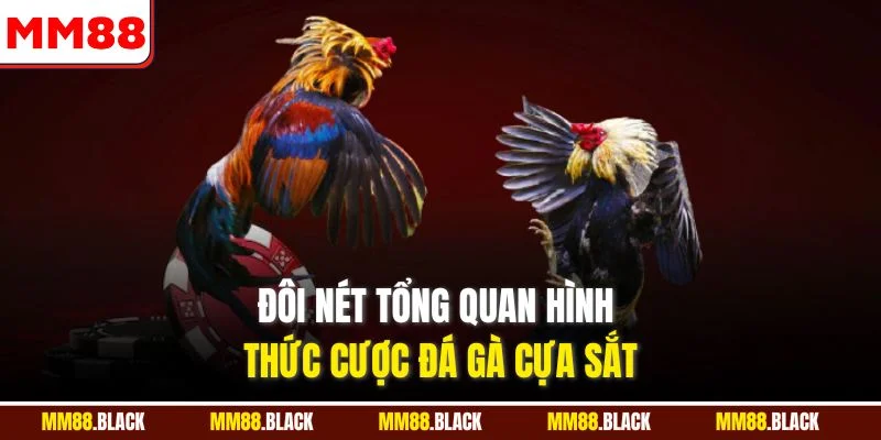 Đôi nét tổng quan hình thức cược đá gà cựa sắt