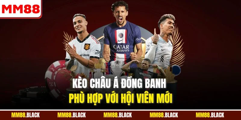 Kèo châu Á đồng banh phù hợp với hội viên mới