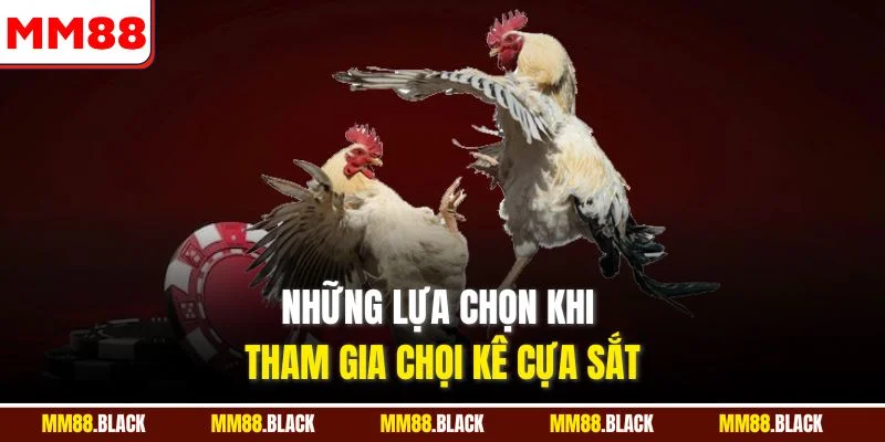 Những lựa chọn khi tham gia chọi kê cựa sắt