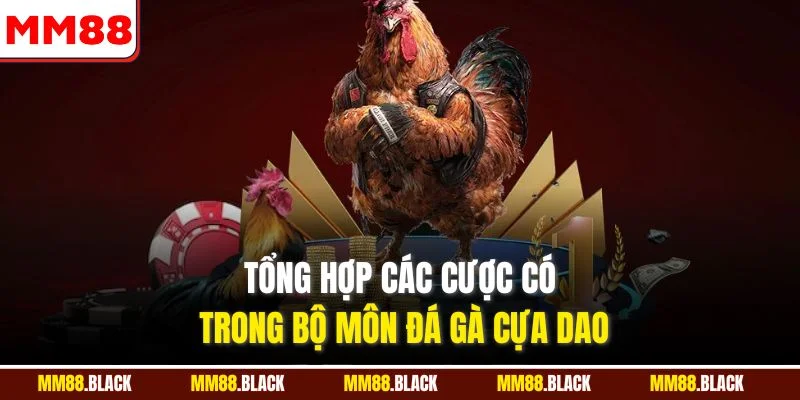 Tổng hợp các cược có trong bộ môn đá gà cựa dao